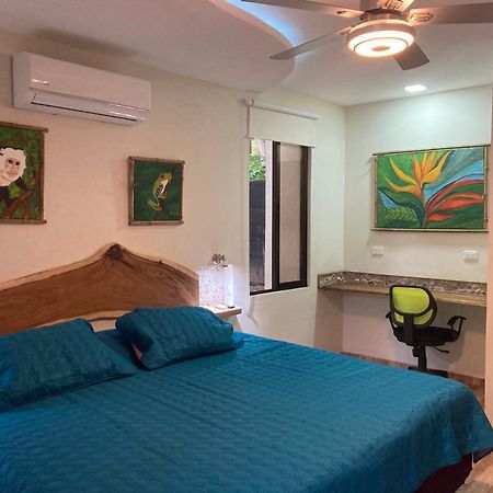 Garza Tigre Apartamentos Cobano エクステリア 写真