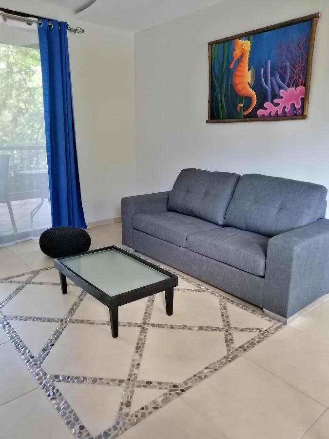 Garza Tigre Apartamentos Cobano エクステリア 写真
