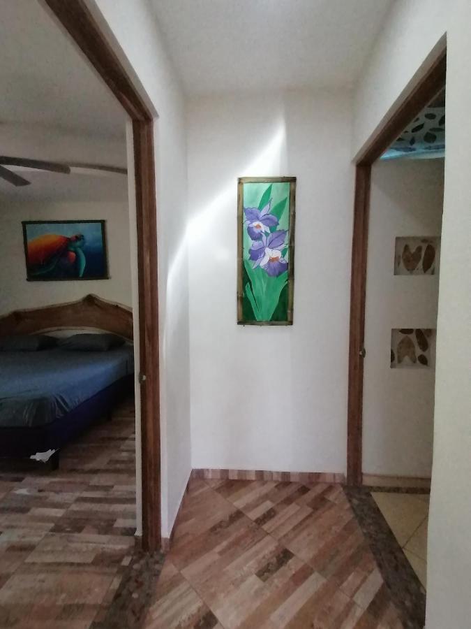 Garza Tigre Apartamentos Cobano エクステリア 写真