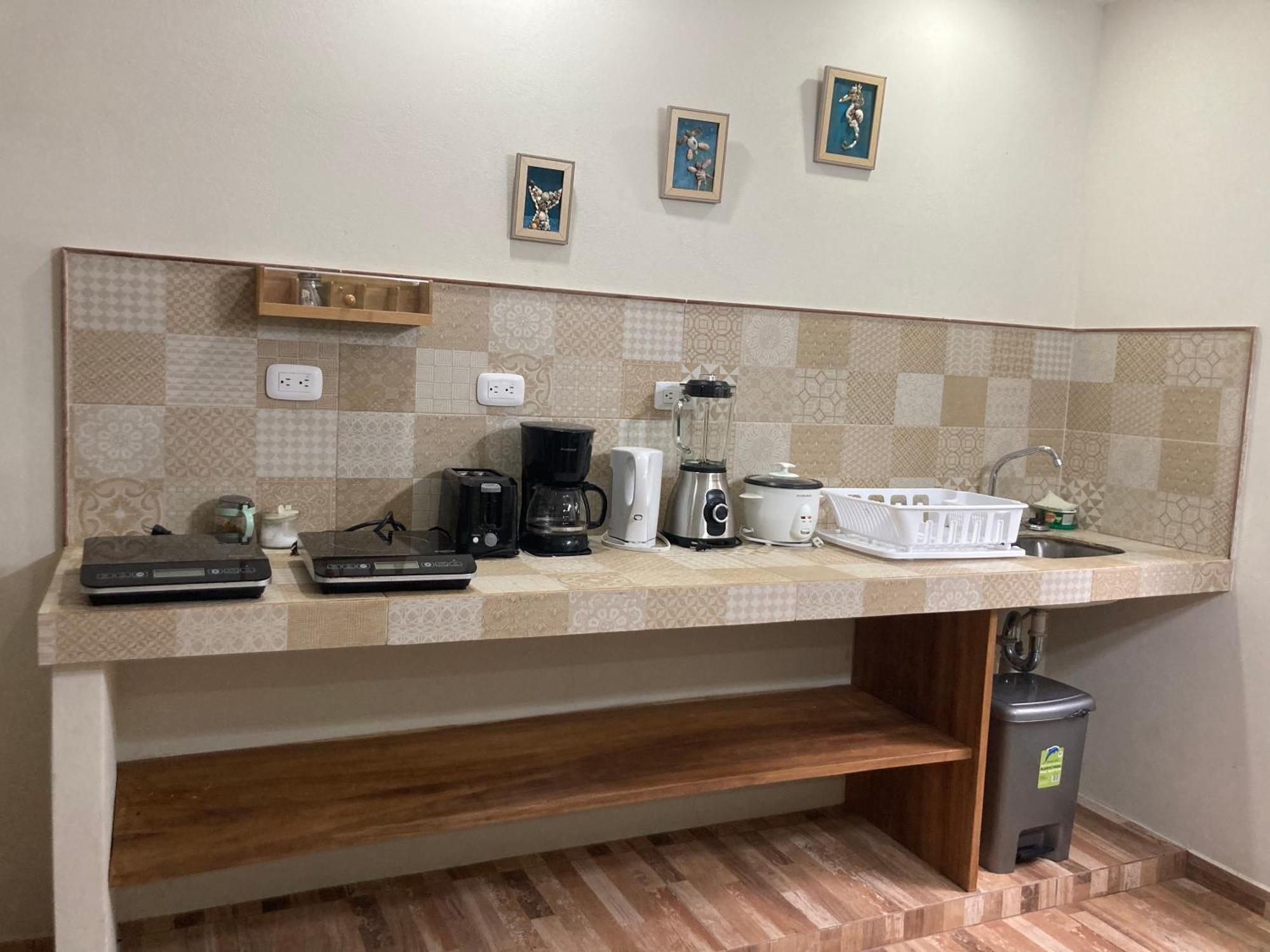 Garza Tigre Apartamentos Cobano エクステリア 写真